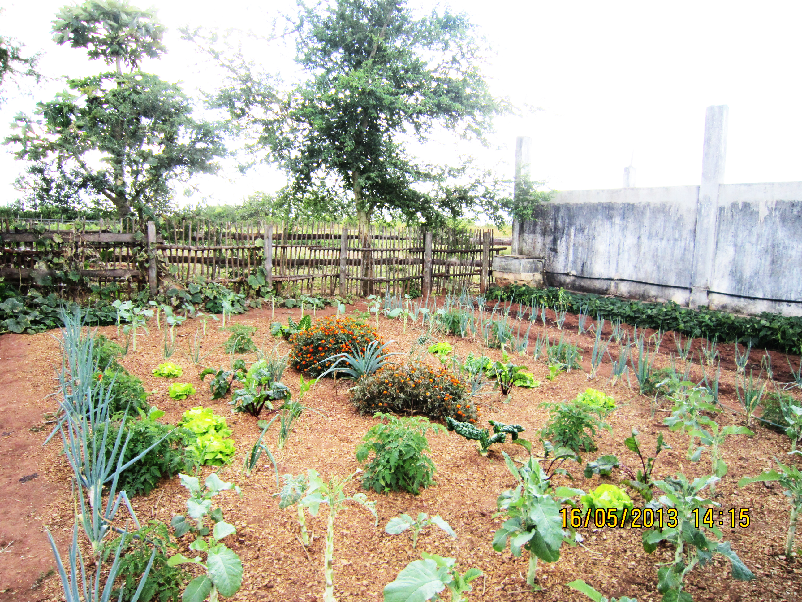 Cindimba Dairy Farm